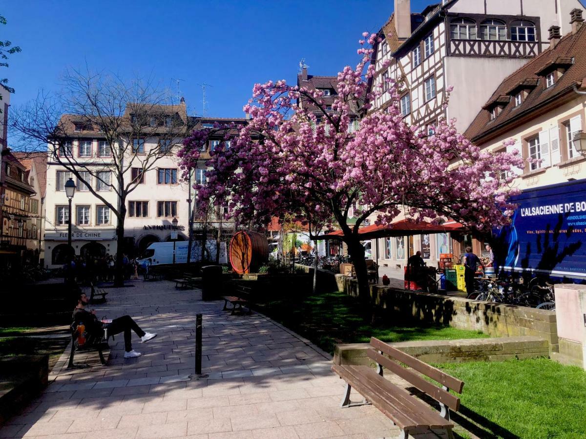 Ferienwohnung Le Moment Bleu Straßburg Exterior foto